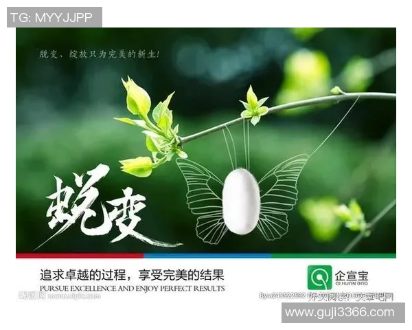 上海排球队的蜕变与重生：从传统强队到现代竞技的转型之路